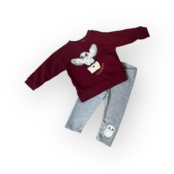H&M Harry Potter Hedwig Sweatshirt And Legging Outfit - Picture 1 of 5